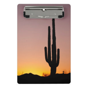 Saguaro-Kaktus am Sonnenuntergang Mini Klemmbrett