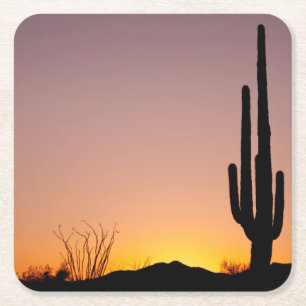 Saguaro-Kaktus am Sonnenuntergang Rechteckiger Pappuntersetzer