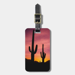 Saguaro-Kaktus bei Sonnenaufgang, Arizona Gepäckanhänger