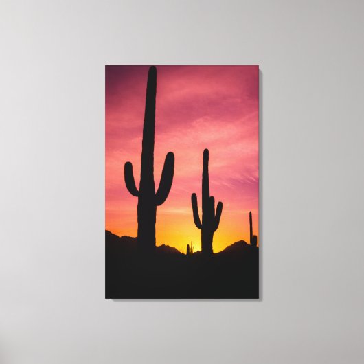 Saguaro-Kaktus bei Sonnenaufgang, Arizona Leinwanddruck (Vorderseite)