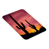 Saguaro-Kaktus bei Sonnenaufgang, Arizona Magnet (Rechte Seite)