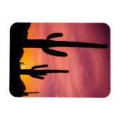 Saguaro-Kaktus bei Sonnenaufgang, Arizona Magnet (Horizontal)