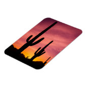 Saguaro-Kaktus bei Sonnenaufgang, Arizona Magnet (Linke Seite)
