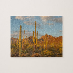 Saguaro-Kaktus bei Sonnenuntergang, Arizona Puzzle