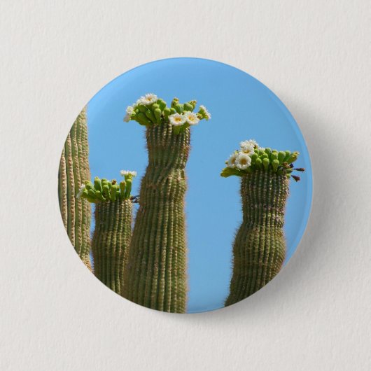 Saguaro-Kaktus-Blüten Button (Vorderseite)