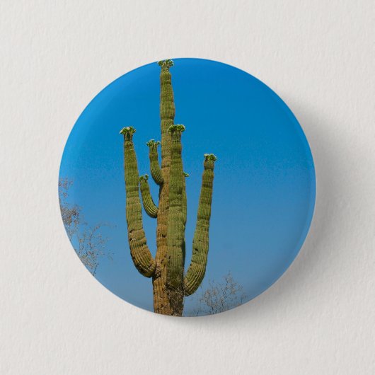 Saguaro-Kaktus Button (Vorderseite)