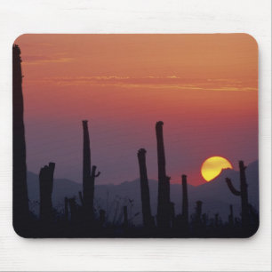 Saguaro-Kaktus Carnegiea gigantea), Sonnenuntergan Mousepad