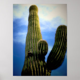 Saguaro-Kaktus-Hoch-Postkarte Poster