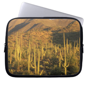 Saguaro-Kaktus im Saguaro-Nationalpark in der Nähe Laptopschutzhülle