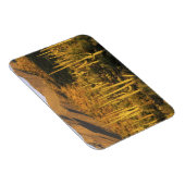 Saguaro-Kaktus im Saguaro-Nationalpark nahe Magnet (Rechte Seite)