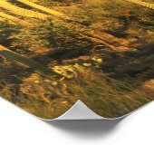 Saguaro-Kaktus im Saguaro-Nationalpark nahe Poster (Ecke)