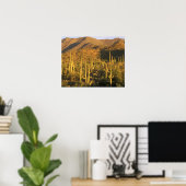 Saguaro-Kaktus im Saguaro-Nationalpark nahe Poster (Heimbüro)