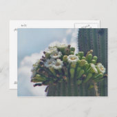 Saguaro-Kaktus in blühender Postkarte (Vorne/Hinten)