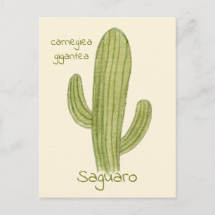 Saguaro-Kaktus-Postkarte. Postkarte