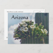 Saguaro Kaktusblüten Postkarte, Arizona Postkarte (Vorne/Hinten)