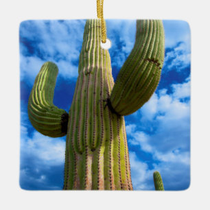 Saguaro-Kaktusporträt, Arizona Keramikornament