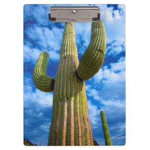 Saguaro-Kaktusporträt, Arizona Klemmbrett