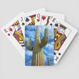 Saguaro-Kaktusporträt, Arizona Spielkarten