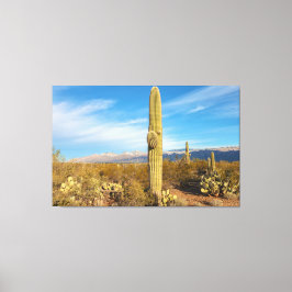Saguaro Leinwanddruck