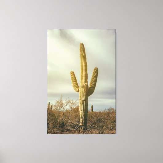 Saguaro Leinwanddruck (Vorderseite)