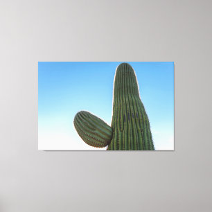 Saguaro Leinwanddruck