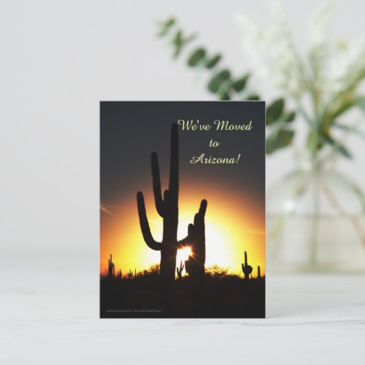 Saguaro mit Sun Star, Ankündigung einer neuen Adre (Stehend Vorderseite)