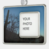 Saguaro Morning am Saguaro Nationalpark Rahmen-Ornament Silber (Links)
