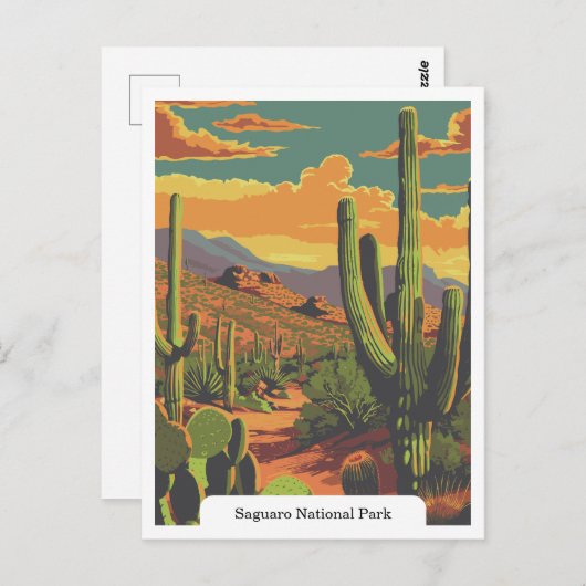 Saguaro National Park, Arizona USA Postkarte (Vorne/Hinten)