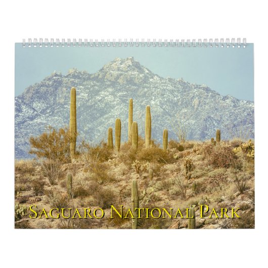 Saguaro National Park Landscape Kalender (Titelbild)