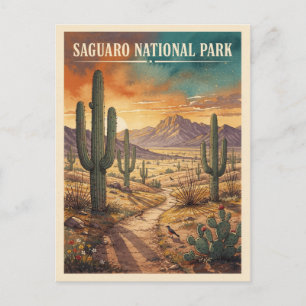 Saguaro National Park Vintage Reise Postkarte