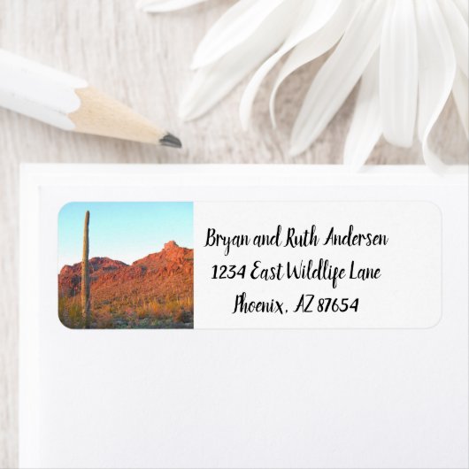 Saguaro-Nationalpark (Insitu)