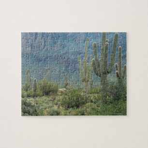 Saguaro-Nationalpark, Arizona Puzzle