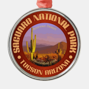 Saguaro-Nationalpark (c) Silbernes Ornament