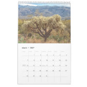 Saguaro Nationalpark Flora Landschaften Kalender (Mär 2027)