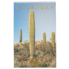 Saguaro Nationalpark Flora Landschaften Kalender