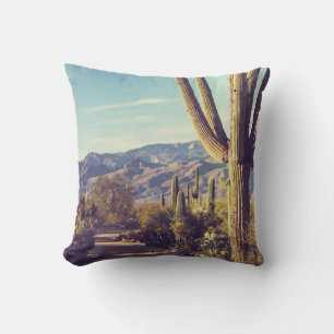 Saguaro Nationalpark, landschaftliche Vertretung. Kissen