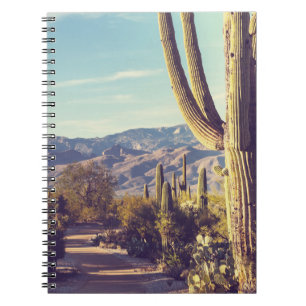 Saguaro Nationalpark, landschaftliche Vertretung. Notizblock