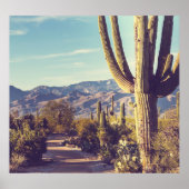 Saguaro Nationalpark, landschaftliche Vertretung. Poster (Vorne)