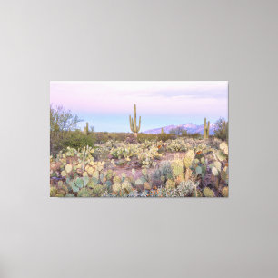 Saguaro-Nationalpark Leinwanddruck