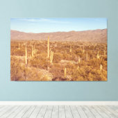 Saguaro-Nationalpark Leinwanddruck (Insitu (Holzboden))