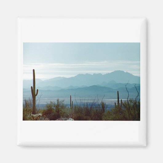 Saguaro-Nationalpark Magnet (Vorne)