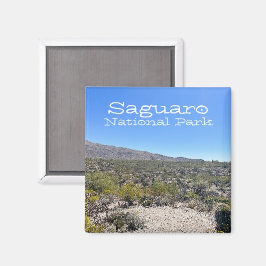 Saguaro-Nationalpark Magnet (Vorderseite/Rückseite)