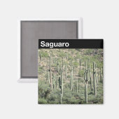 Saguaro-Nationalpark Magnet (Vorderseite/Rückseite)