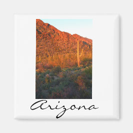 Saguaro Nationalpark Magnet