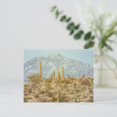 Saguaro Nationalpark mit Berg Postkarte (Stehend Vorderseite)