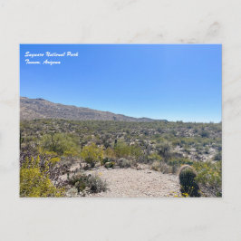 Saguaro Nationalpark Postcard Postkarte