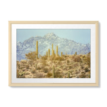 Saguaro-Nationalpark