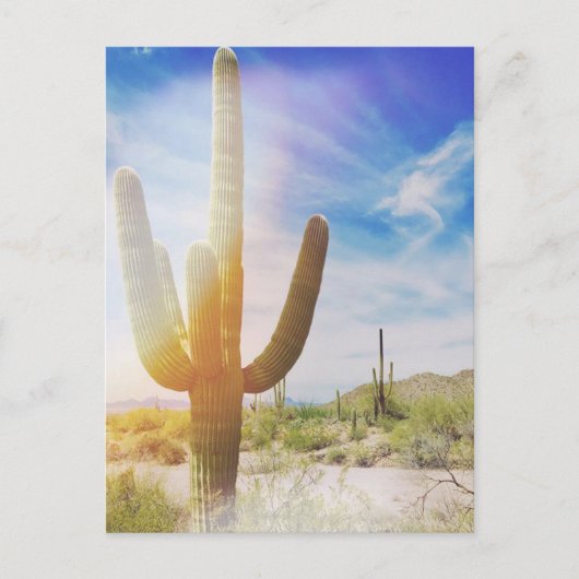 Saguaro-Nationalpark Postkarte (Vorderseite)
