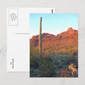 Saguaro Nationalpark Postkarte (Vorne/Hinten)