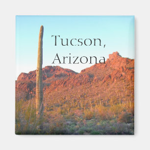 Saguaro Nationalpark Tucson, Arizona Magnet